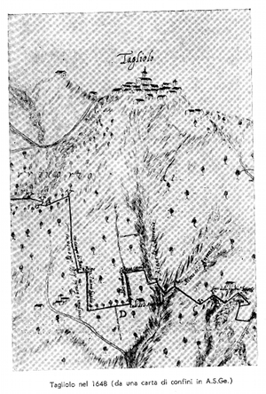  Tagliolo - Disegno 